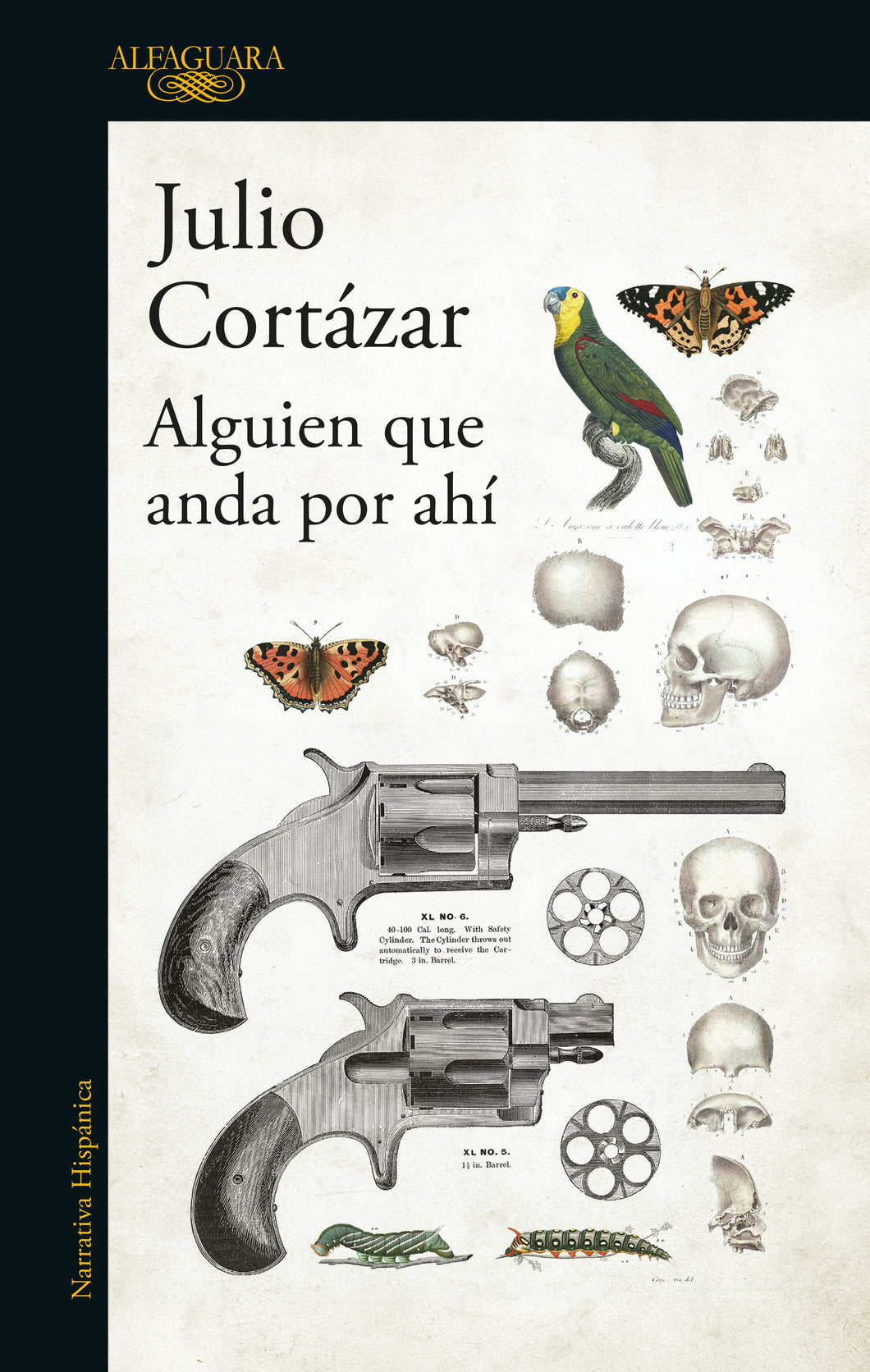 Alguien que anda por ahí