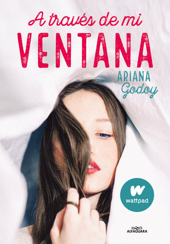 A través de mi ventana (Trilogía Hermanos Hidalgo 1)