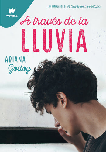 A través de la lluvia (Trilogía Hermanos Hidalgo 3)